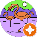 Gail C. profile picture